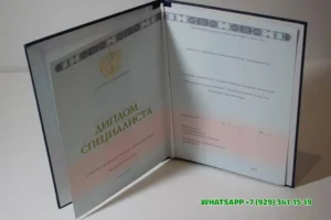 Купить диплом Тульского филиала ФУ — Финансового университета при Правительстве РФ в Курске